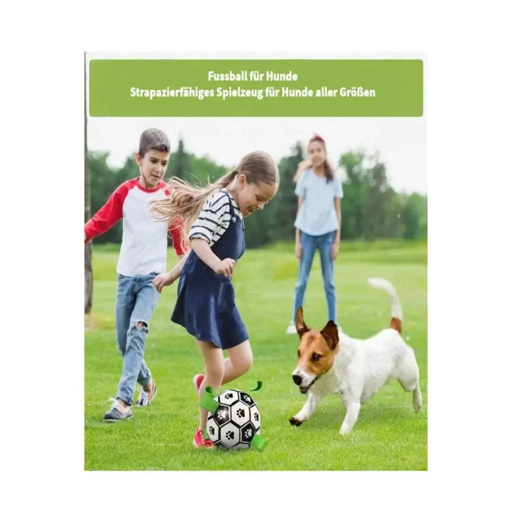 Kinder und ein Hund spielen draußen auf einer Wiese mit einem Fußballspielzeug.