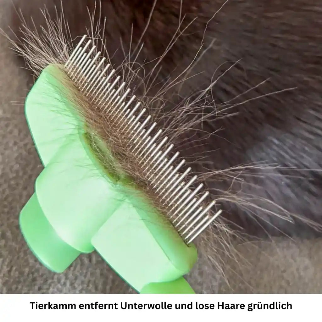 Selbstreinigender Fellkamm für Hunde & Katzen, sanft zur Haut & effektiv gegen lose Haare