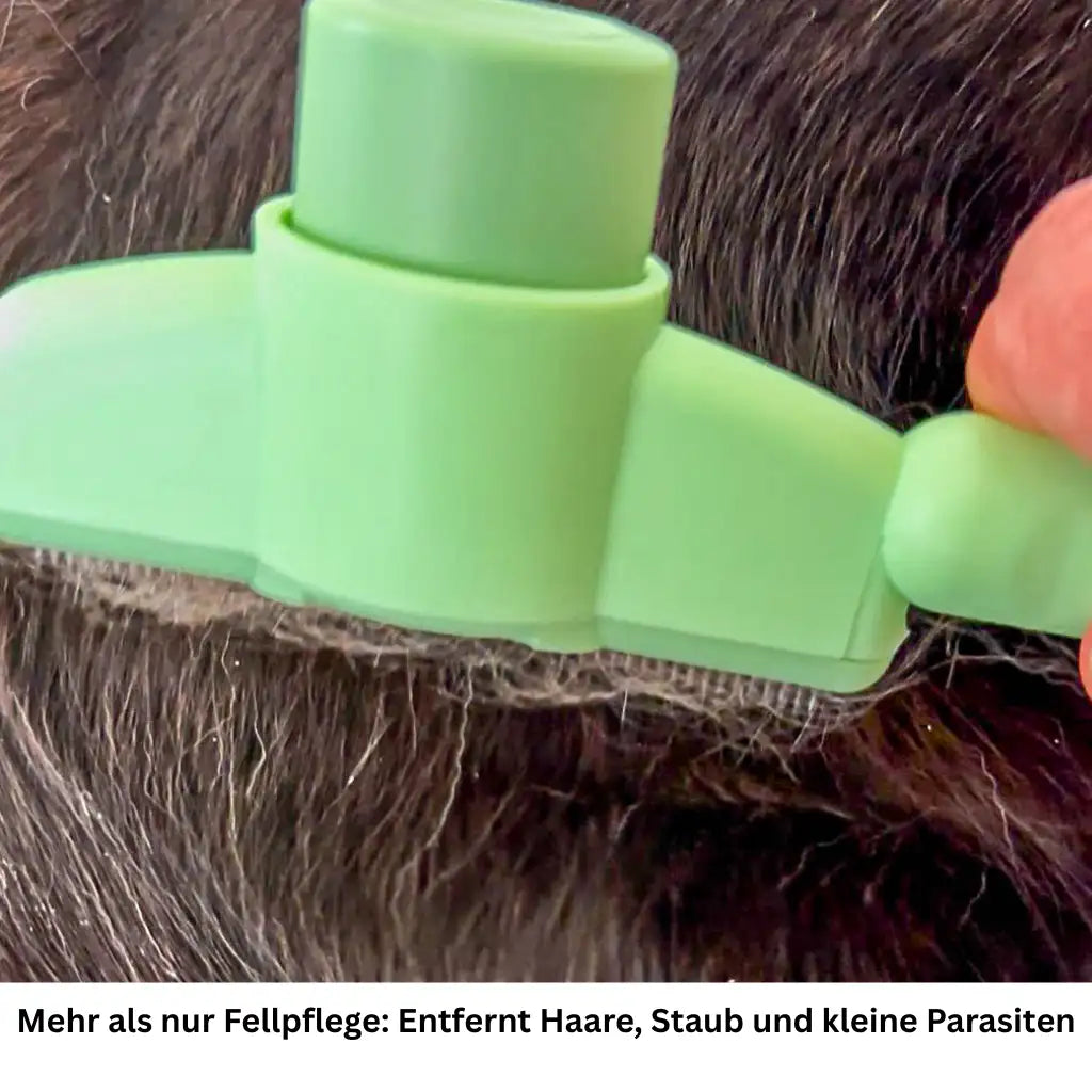 Selbstreinigender Fellkamm für Hunde & Katzen, sanft zur Haut & effektiv gegen lose Haare
