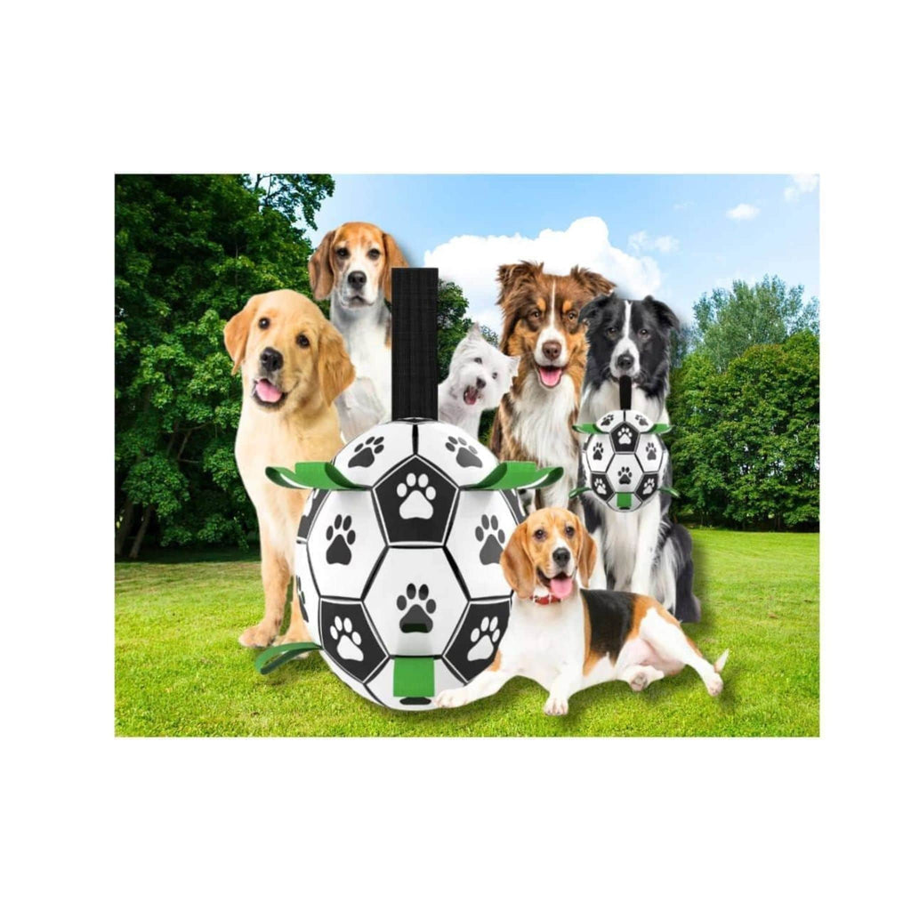 Hundespielzeug Interaktives Fußball, Trainingsball mit Pumpe für kleine Hunde und mittelgroße Rassen - Farbe: A 12.5 cm - 1 von wisheum.ch