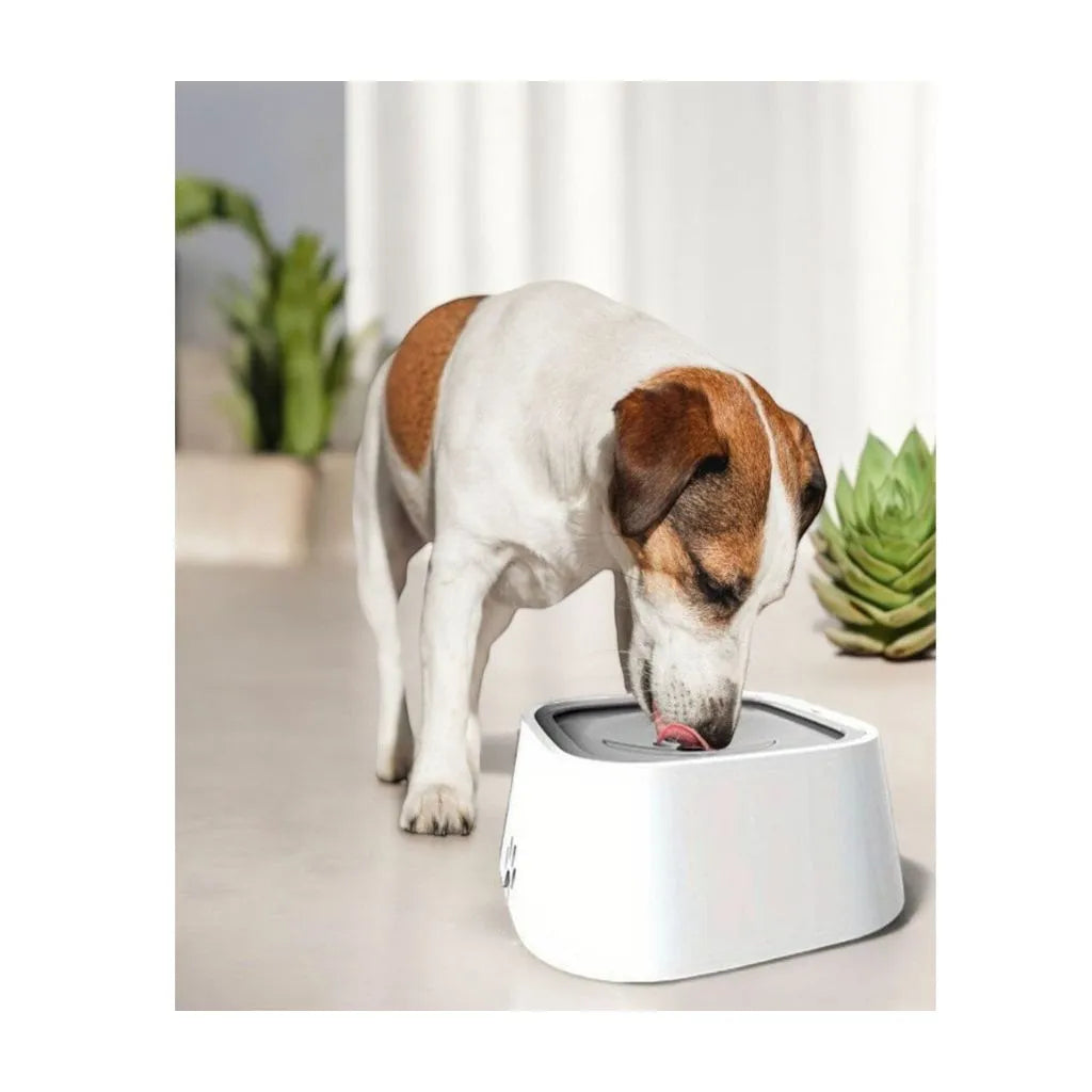 1 Trinkschale für Hunde und Katzen