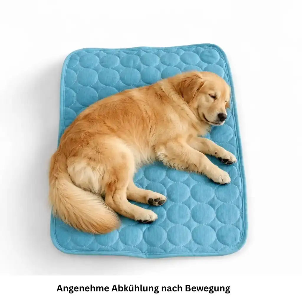 Kühlende Sommerdecke für Hunde & Katzen
