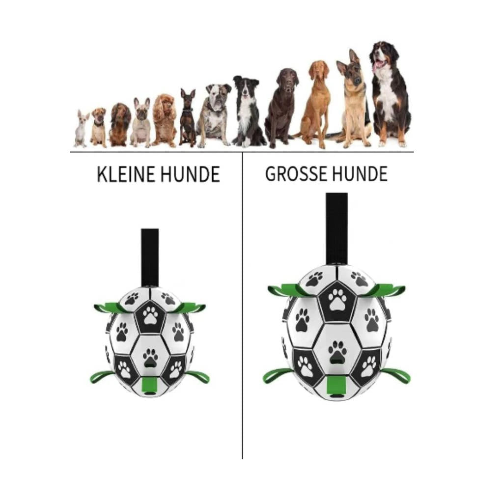 Vergleichsgrafik mit kleinen und großen Hunderassen und passenden Bällen in unterschiedlichen Größen.