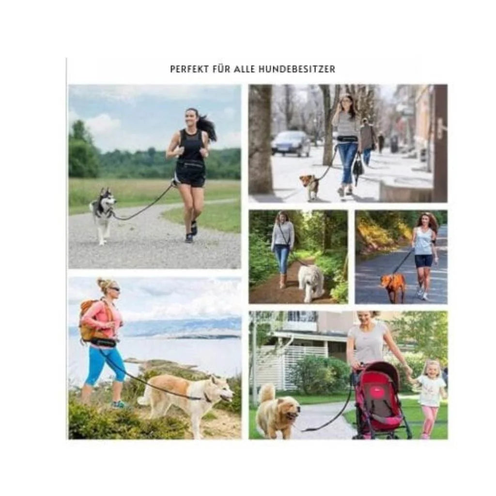 Hundeleine: Komfortabel, sicher und flexibel, ideal für Training und Spaziergänge.