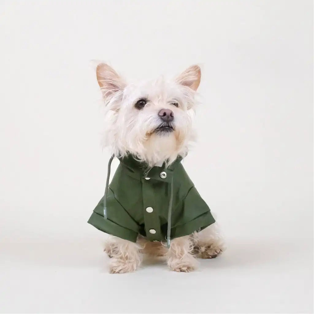 Stylischer wasserdichter Hundemantel