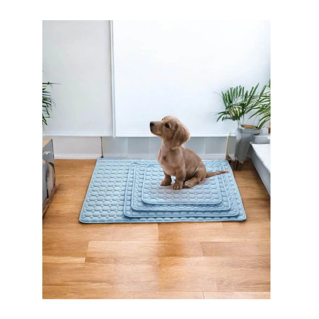 1 Hundekühlmatte – die perfekte Abkühlung an heissen Tagen!🌞