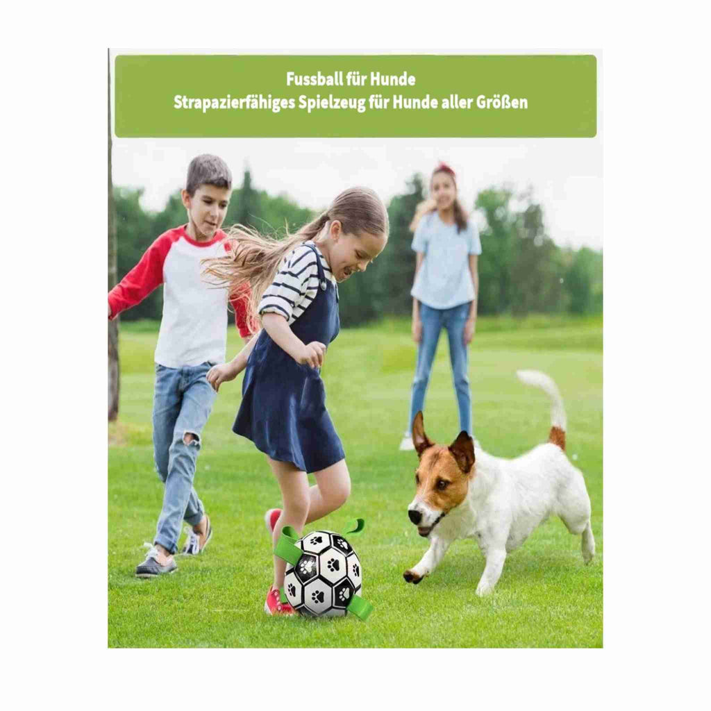 Hundespielzeug Interaktives Fußball, Trainingsball mit Pumpe für kleine Hunde und mittelgroße Rassen - Farbe: A 12.5 cm - 1 von wisheum.ch