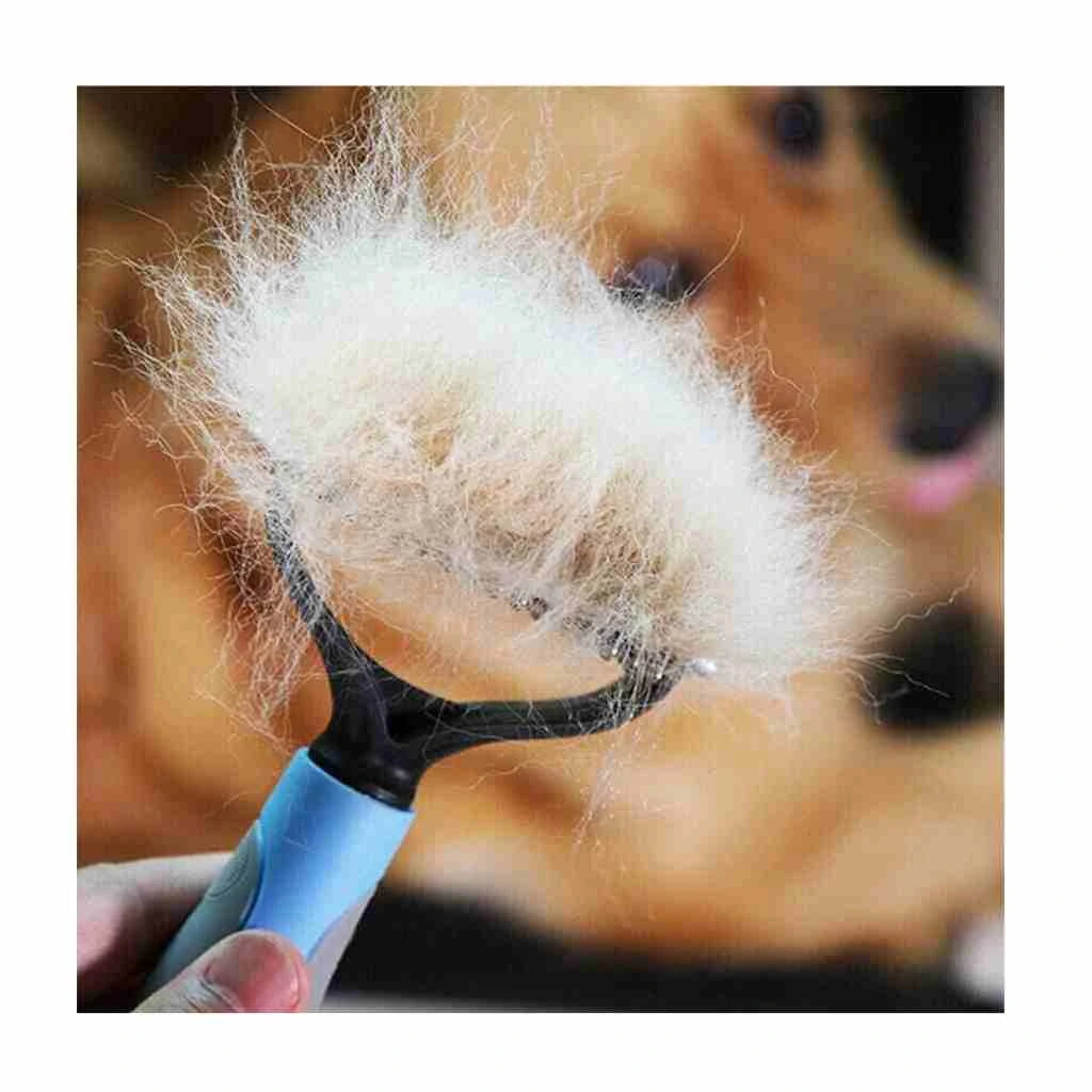Hunde vor und nach dem Bürsten – Fellunterschied sichtbar