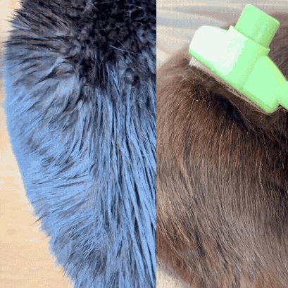 Fellpflege-Set für Hunde & Katzen