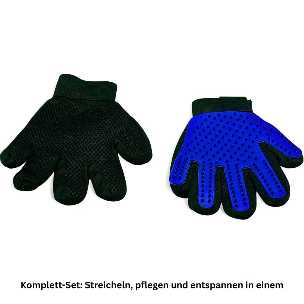 Fellpflegehandschuhe für Hunde und Katzen blau
