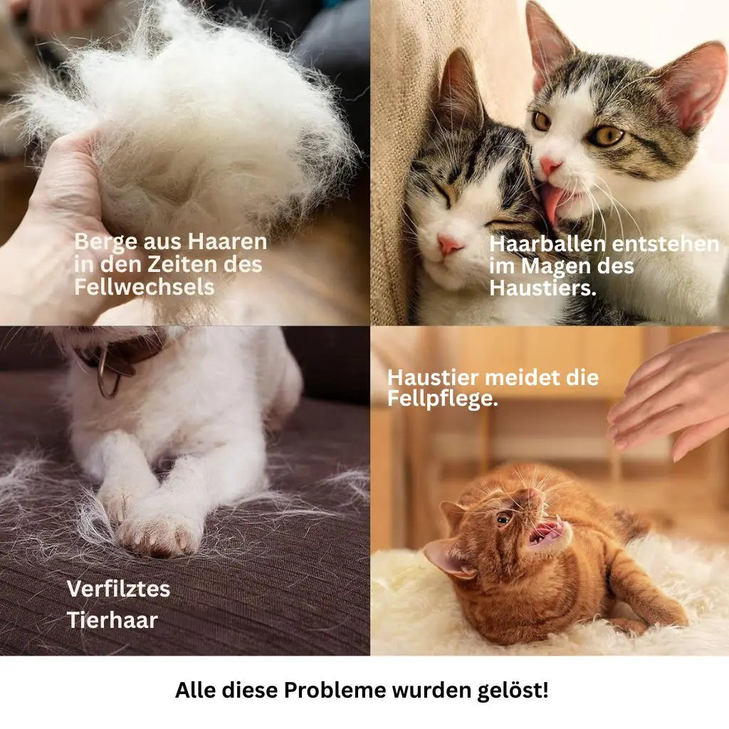 Fellpflegehandschuhe für Hunde und Katzen, sanftes Bürsten gegen lose Haare 2-3 Werktage