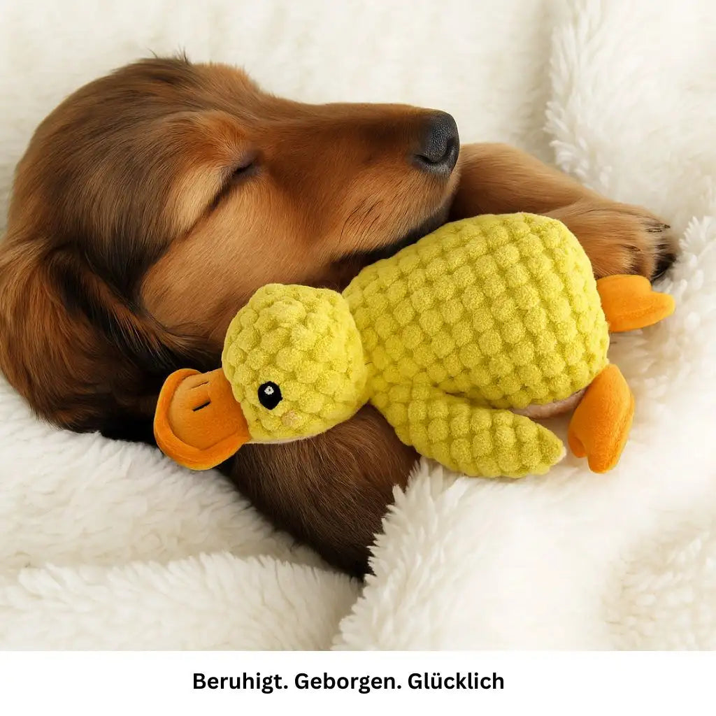 Anti-Stress Ente das beruhigende Hundespielzeug