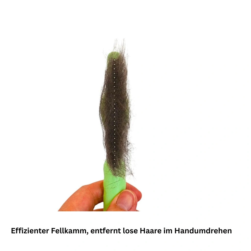 Vor dem Reinigen – Haare auf Fellkamm