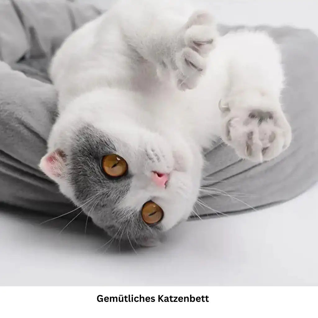 Katze liegt entspannt auf Plüschpolster farbe Grau