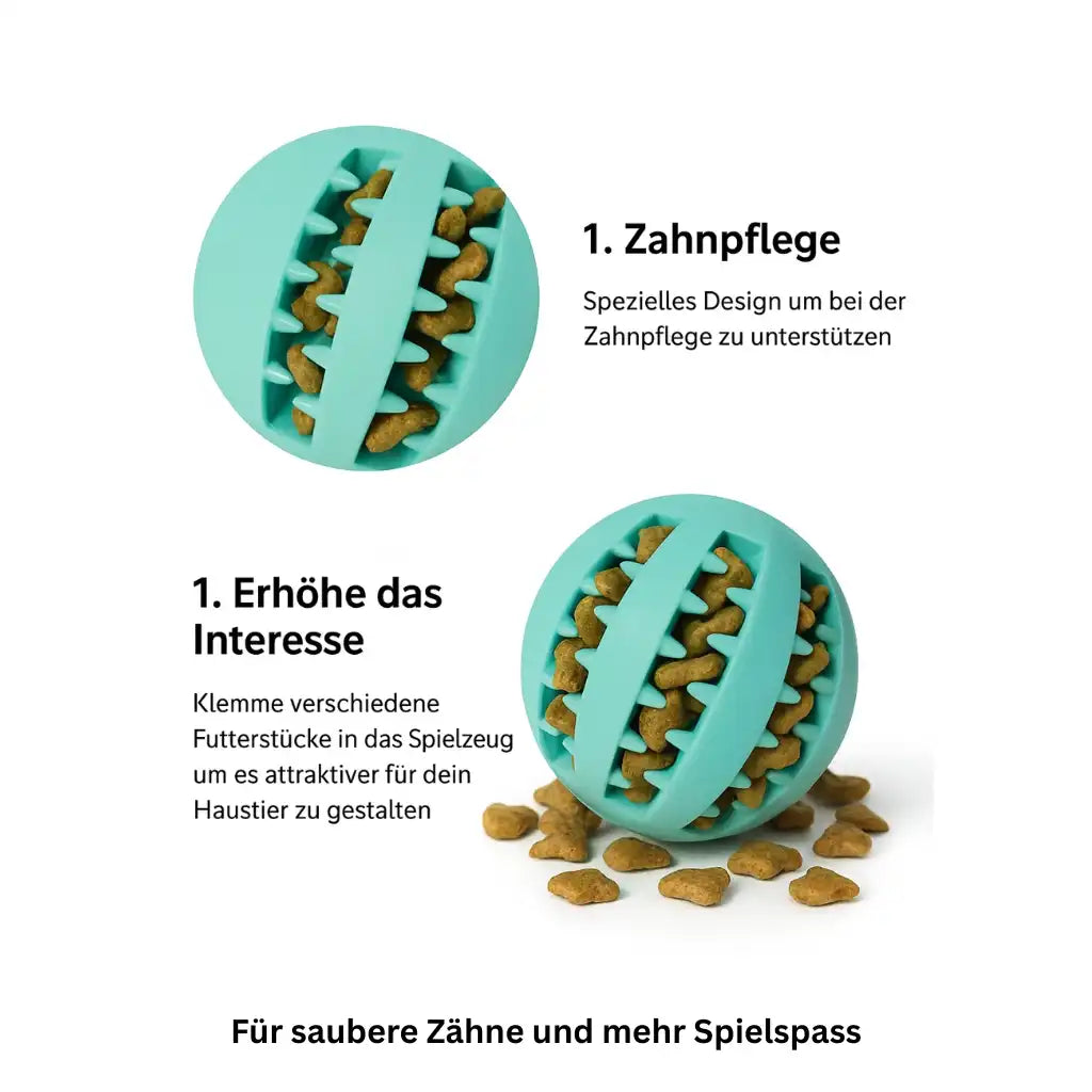 Katzen und Hunde Kauball aus Naturgummi mit Vorteilen für Zahnpflege