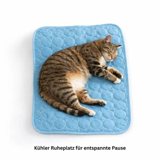 Katze ruht auf selbstkuehlender Kuehlmatte als kuehler Liegeplatz