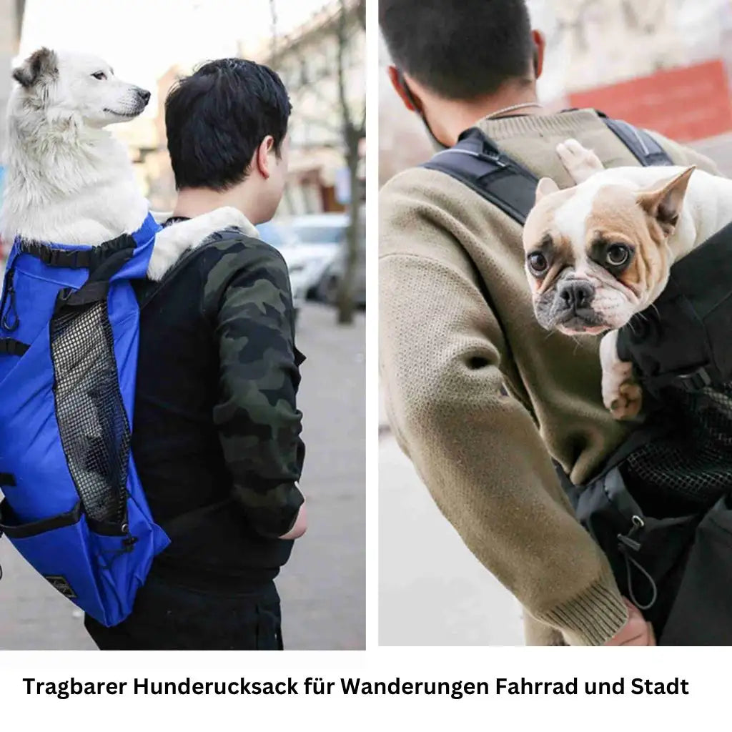 Hundetragerucksack für Outdoor-Reisen - Farbe: Schwarz / L - 1 von wisheum.ch