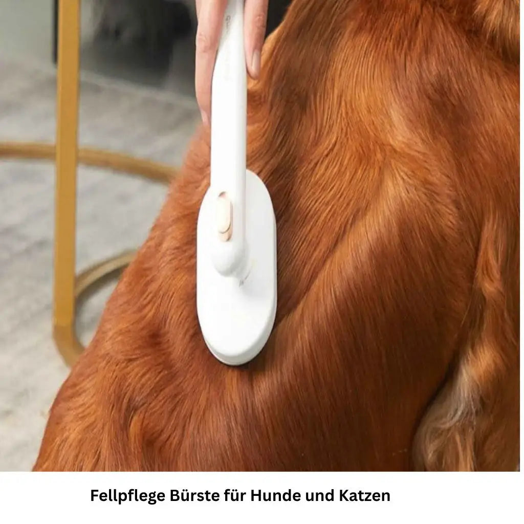 Selbstreinigende Bürste für Hunde & Katzen - Farbe: Dunkel Blau - 1 von wisheum.ch
