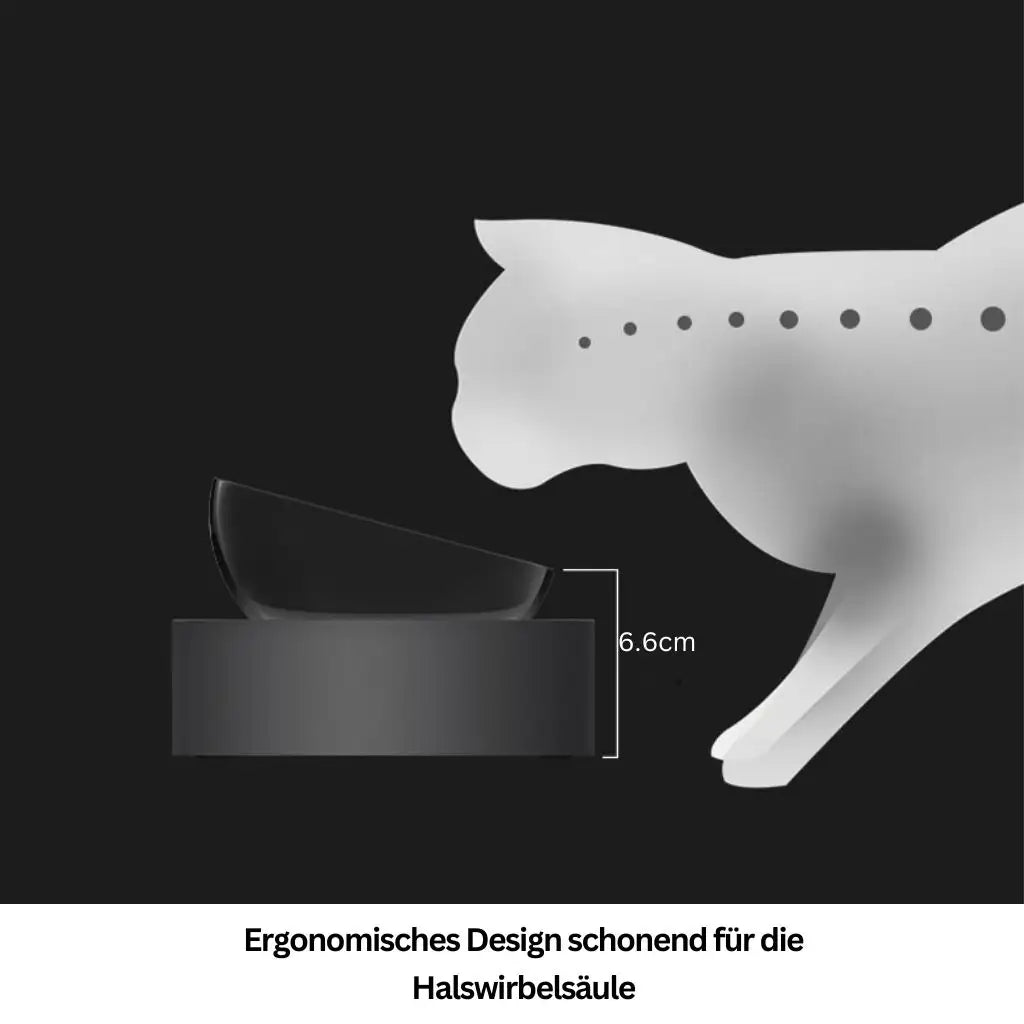 Erhöhte Futterschüssel aus Edelstahl – Rutschfest & auslaufsicher - Farbe: Schwarz - 1 von wisheum.ch
