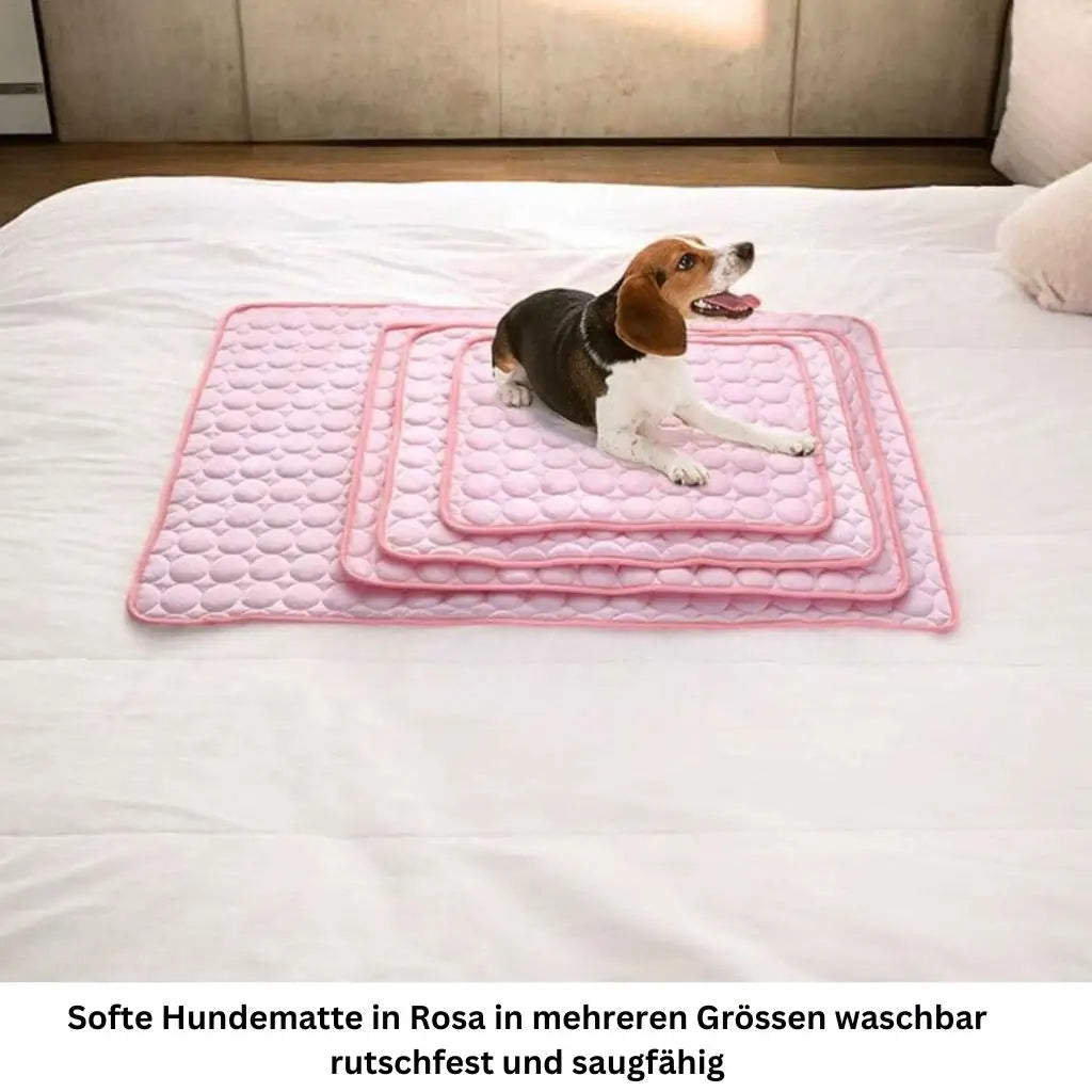 Kühlmatte für Hunde – Erfrischung an heissen Tagen🌞