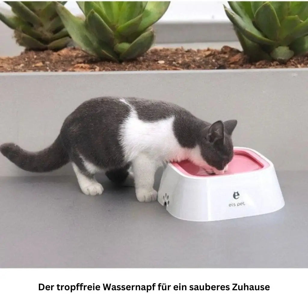 Trinkschale für Hunde und Katzen - Farbe: Blau - 1 von wisheum.ch