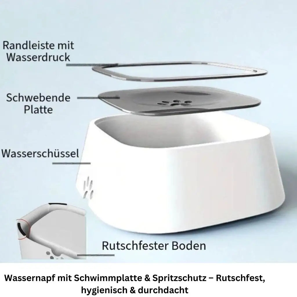 Trinkschale für Hunde und Katzen - Farbe: Blau - 1 von wisheum.ch