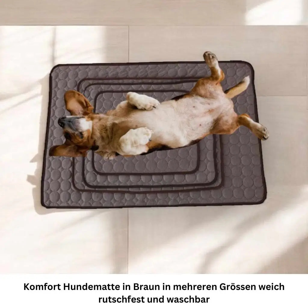 Kühlmatte für Hunde – Erfrischung an heissen Tagen🌞
