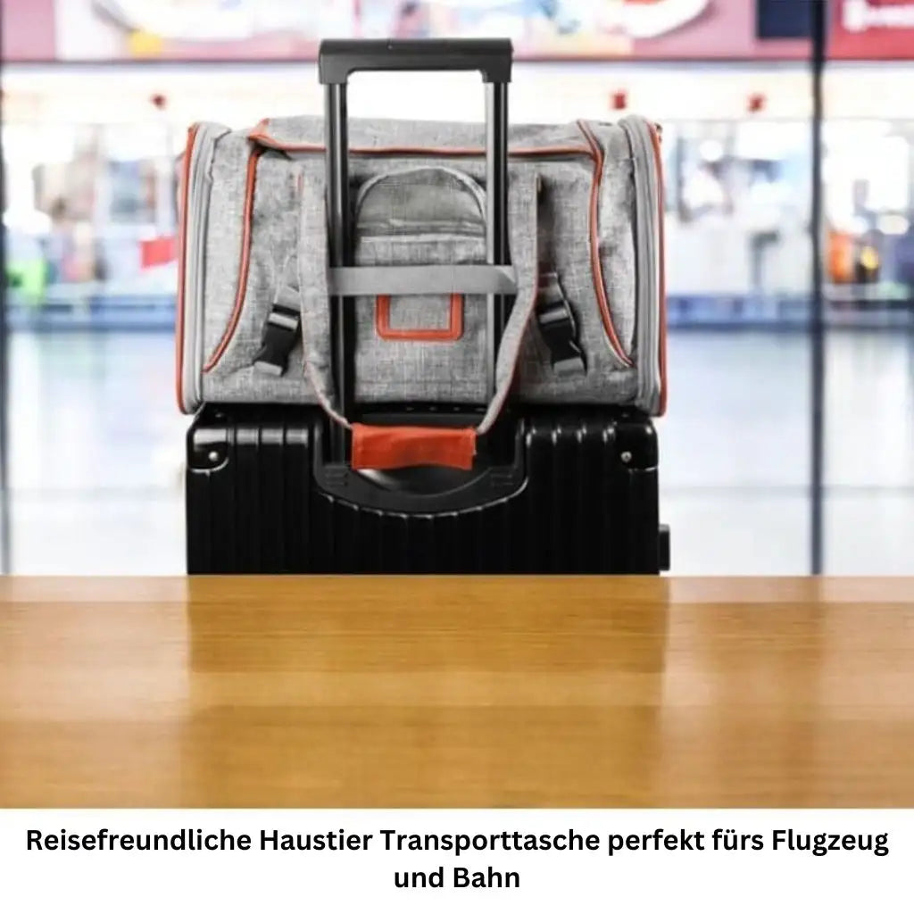 Reisetasche für Haustiere – Ideal für Flug & Ausflug - Farbe: Dunkel Grau / 46 X 26 X 28cm - 1 von wisheum.ch