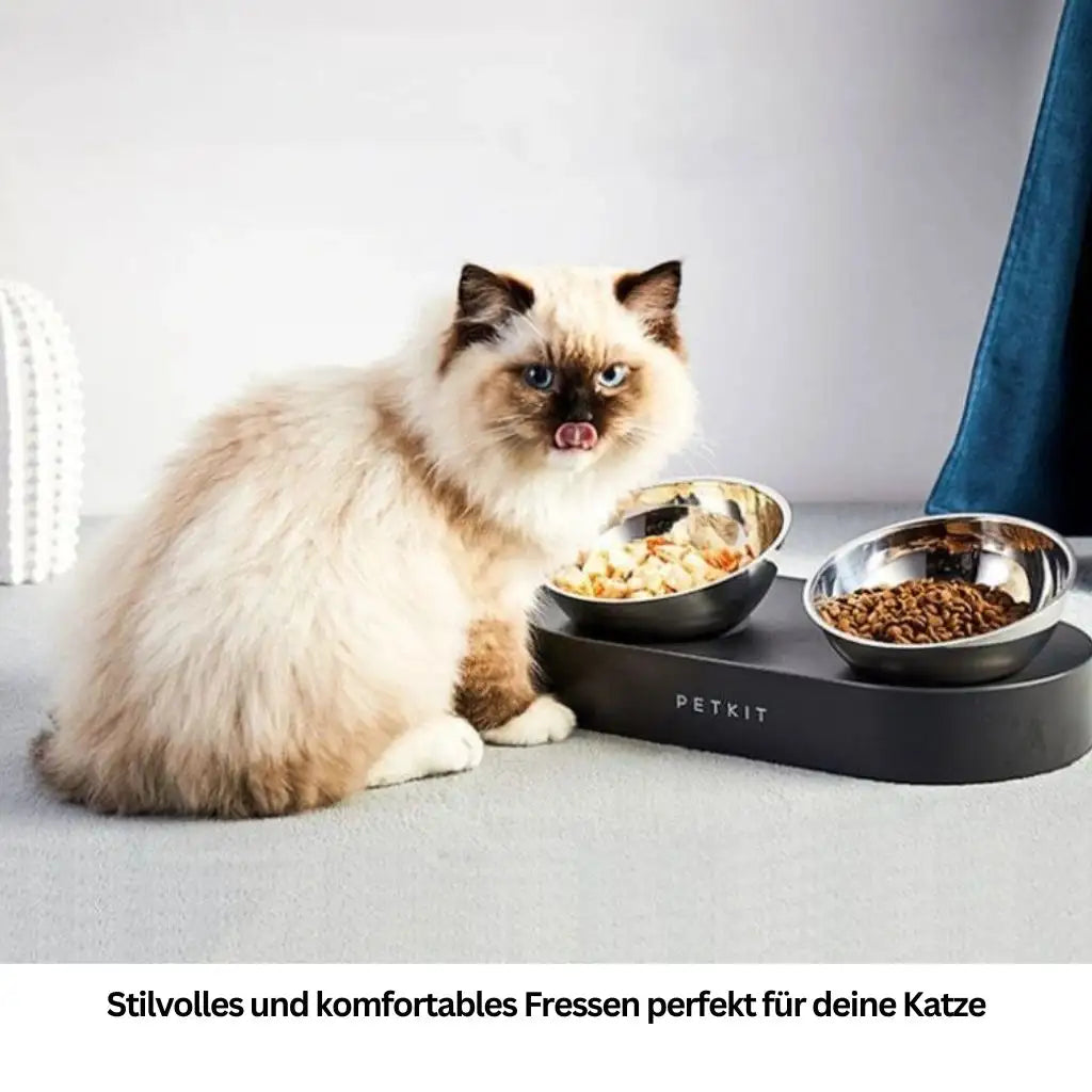 Erhöhte Futterschüssel aus Edelstahl – Rutschfest & auslaufsicher - Farbe: Schwarz - 1 von wisheum.ch
