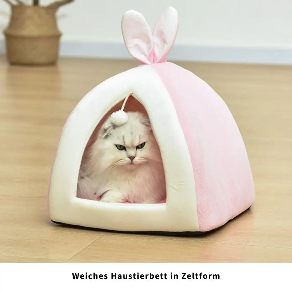 Katzenhütte mit Hasenohren