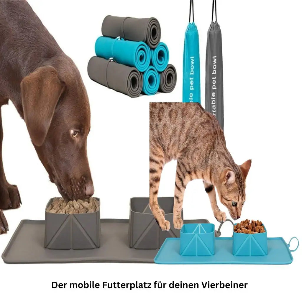 Faltbarer Reisenapf für Hunde & Katzen - Farbe: Grün - 1 von wisheum.ch