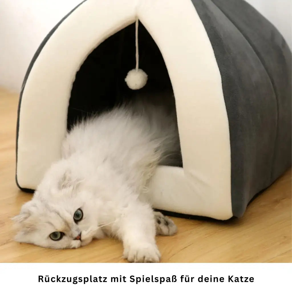 Katzenhütte mit Hasenohren