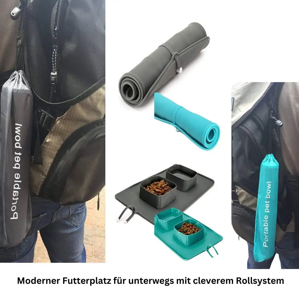 Faltbarer Reisenapf für Hunde & Katzen - Farbe: Grün - 1 von wisheum.ch