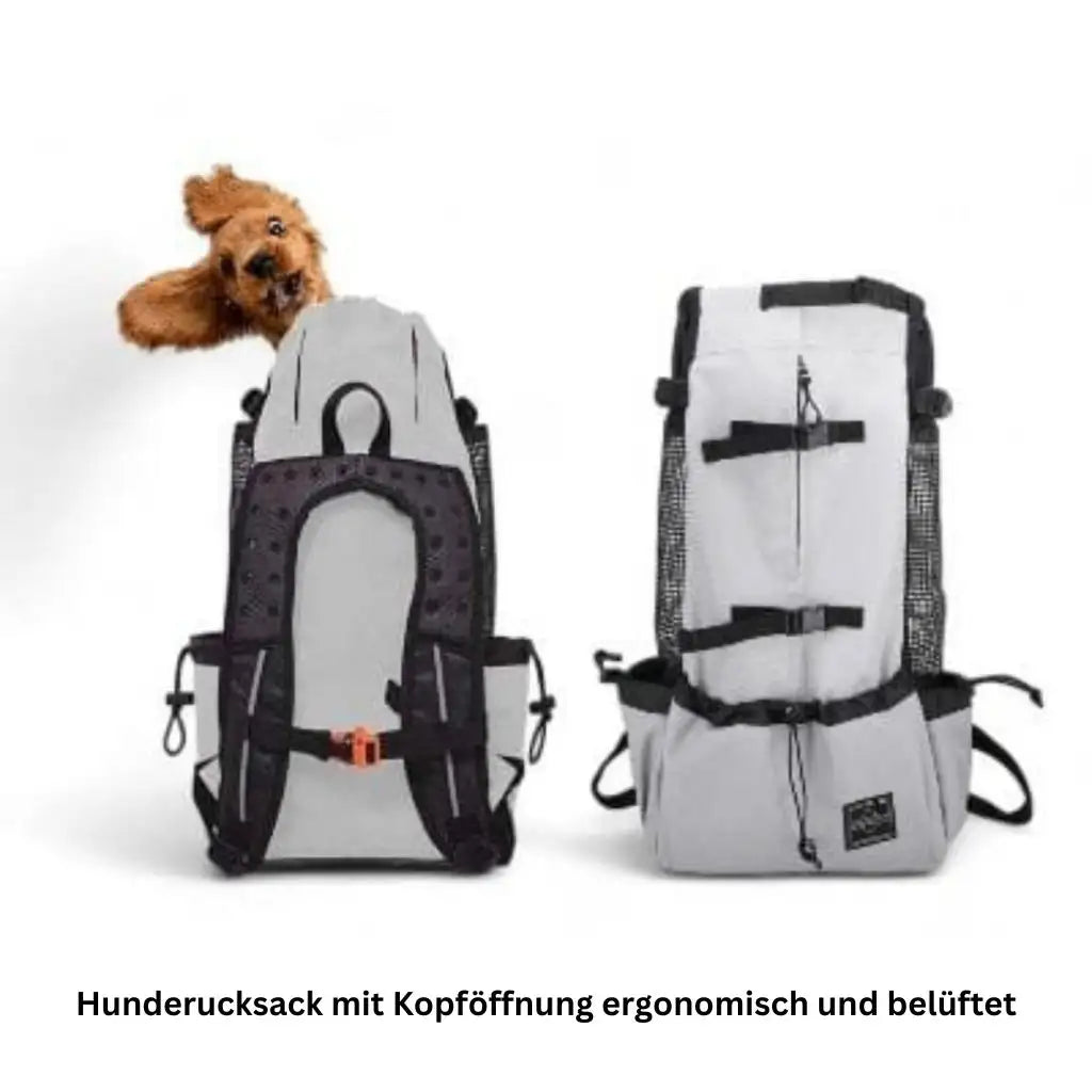 Hundetragerucksack für Outdoor-Reisen - Farbe: Schwarz / L - 1 von wisheum.ch