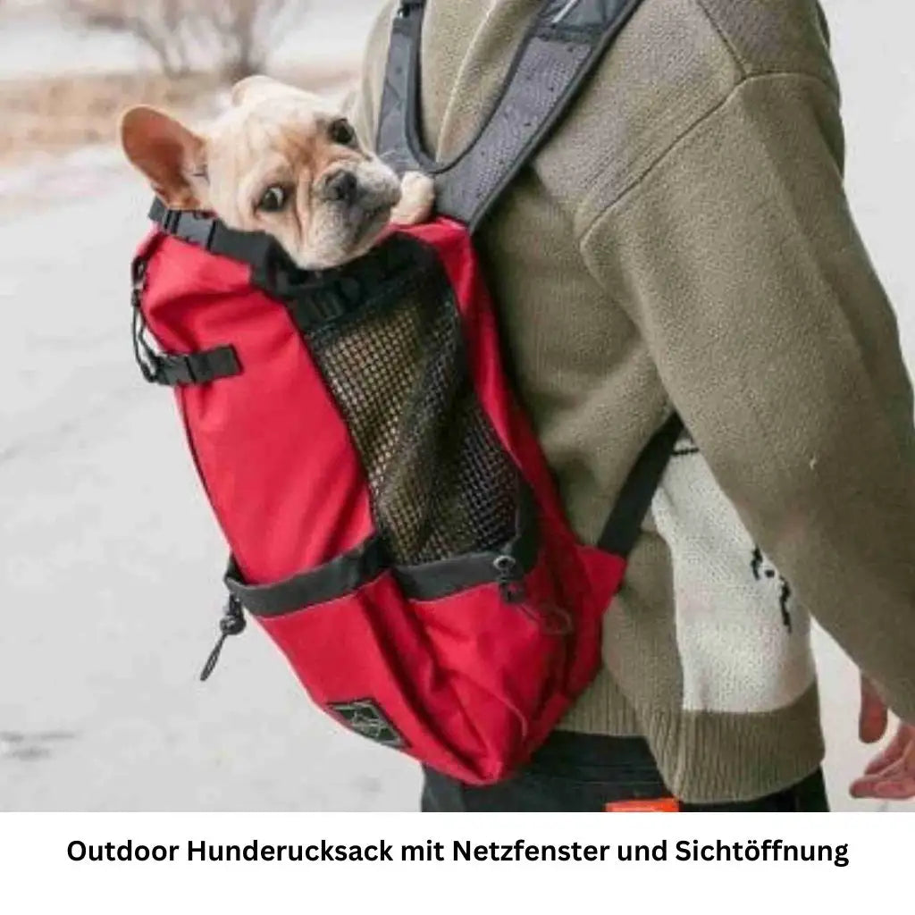 Hundetragerucksack für Outdoor-Reisen - Farbe: Schwarz / L - 1 von wisheum.ch