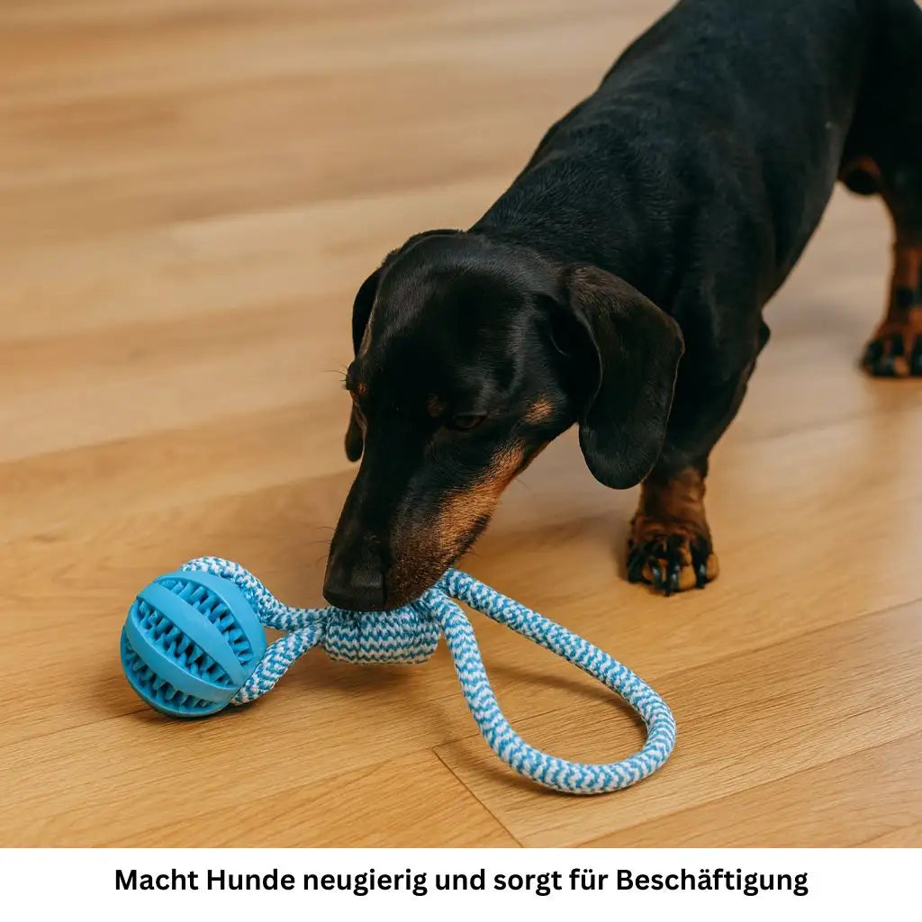 Kauball mit Seil, Snacks & Futter