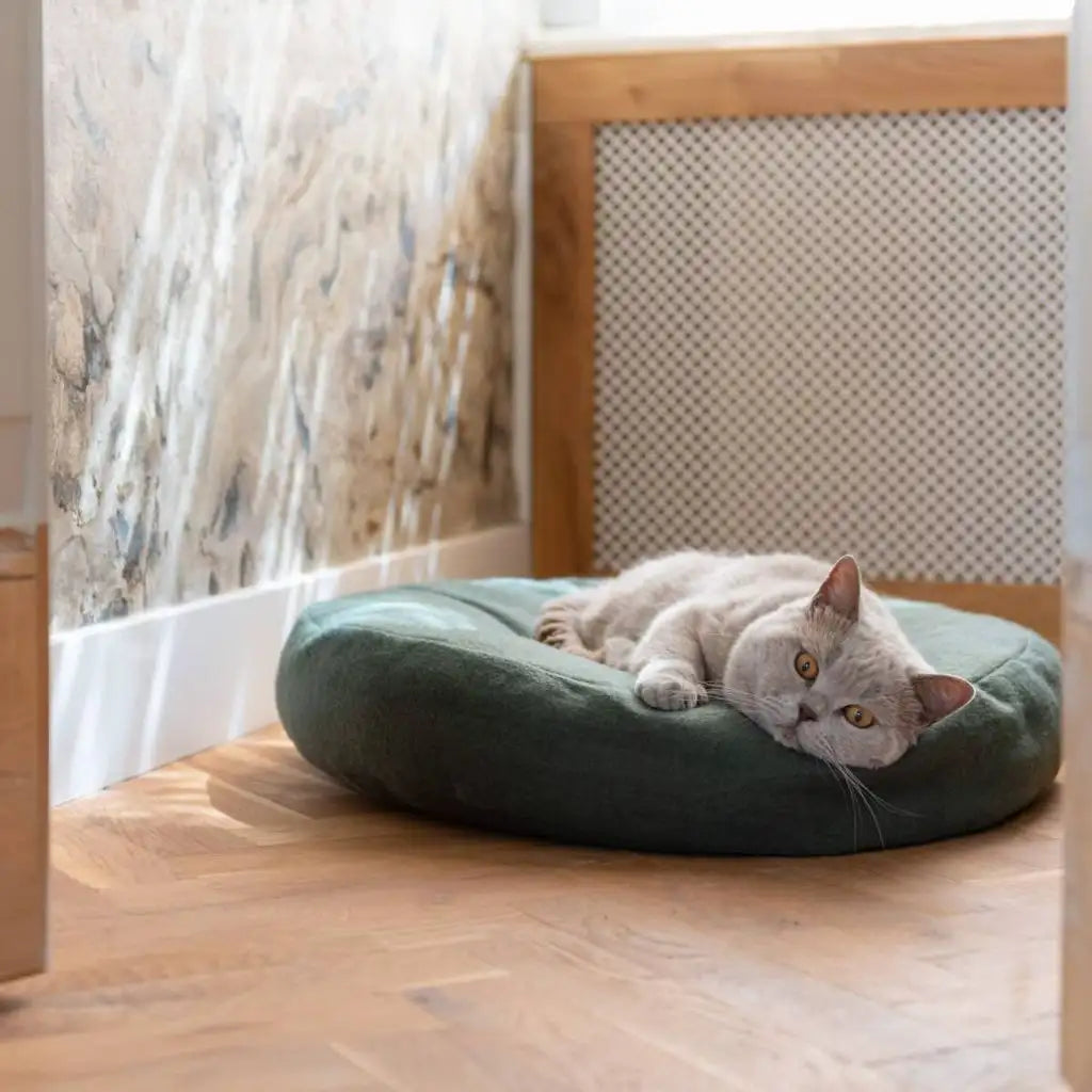 Kuscheliges Donut Katzenbett für Katzen