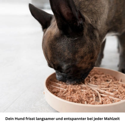 Anti Schling Napf Hund Slow Feeder 250ml Silikon