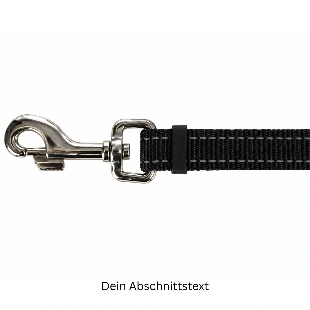 Bauchgurt mit Joggingleine für Hunde