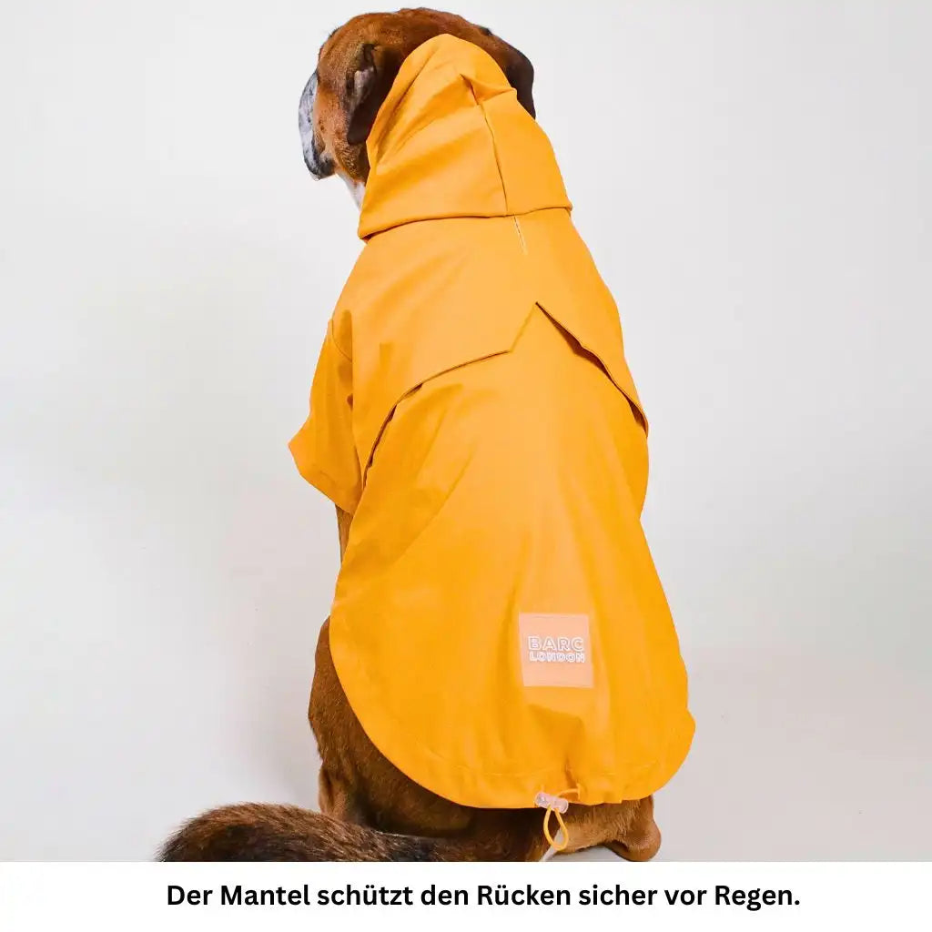 Stylischer wasserdichter Hundemantel