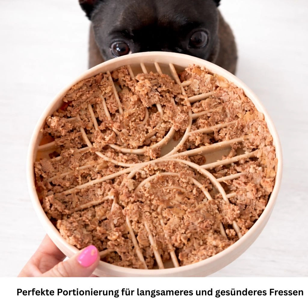 Anti Schling Napf Hund Slow Feeder 250ml Silikon