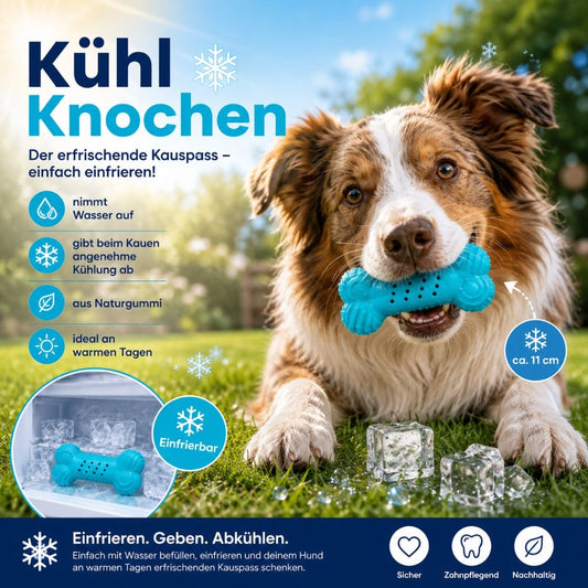 Kühl Knochen für Hunde, 11 cm