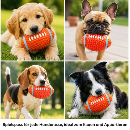 Hundespielzeug Quietscheball für Hunde
