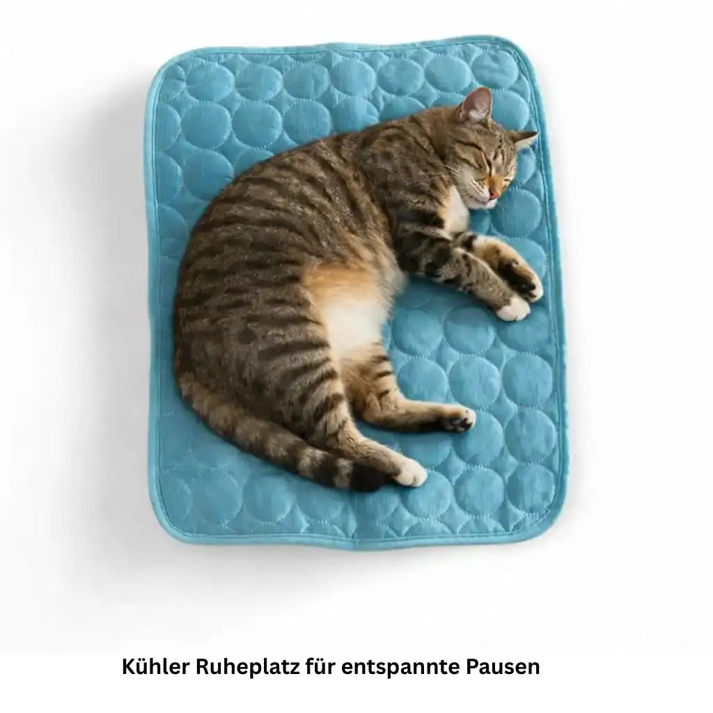 Kühlende Sommerdecke für Hunde & Katzen