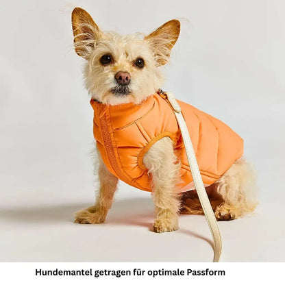 Warme wendbare Daunenjacke