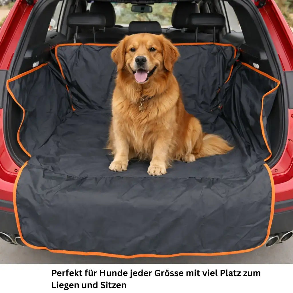 Sauberer Kofferraum beim Transport deines Hundes