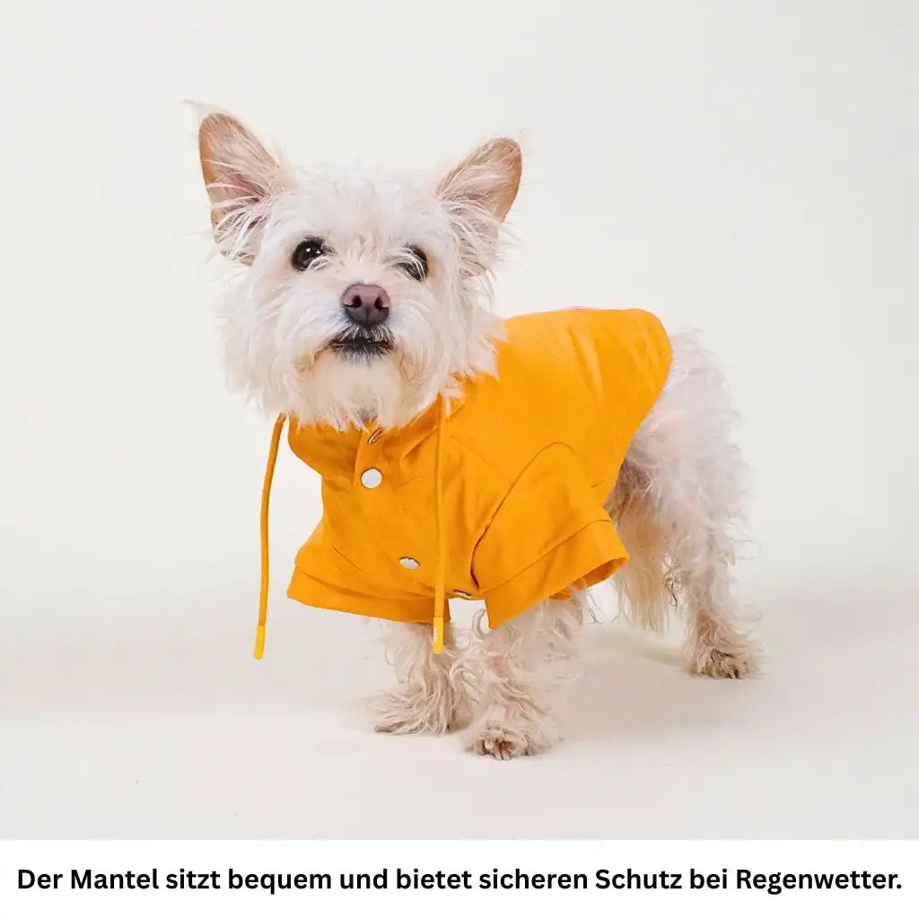 Stylischer wasserdichter Hundemantel