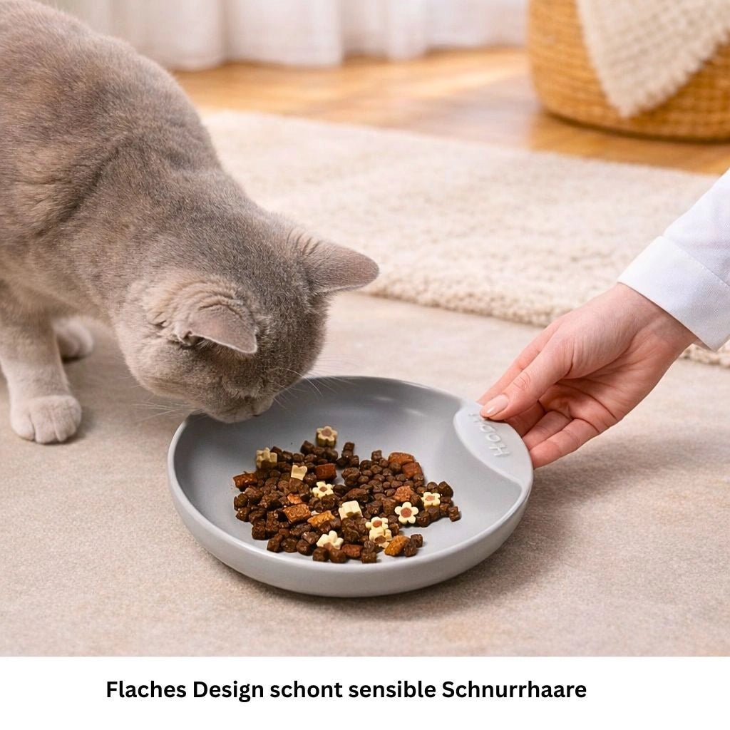 Flacher Katzennapf aus Porzellan gegen Schnurrhaar Stress