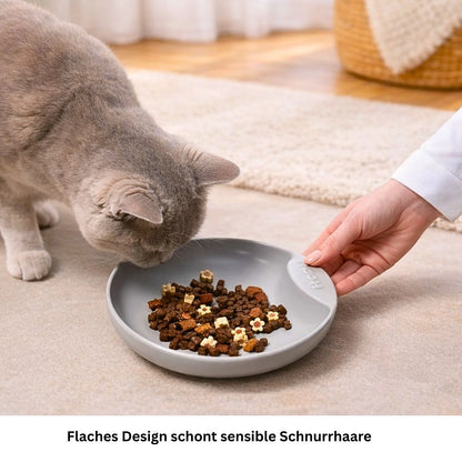 Flacher Katzennapf aus Porzellan gegen Schnurrhaar Stress