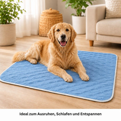 Kühlende Hundematte XL 80 × 120 cm